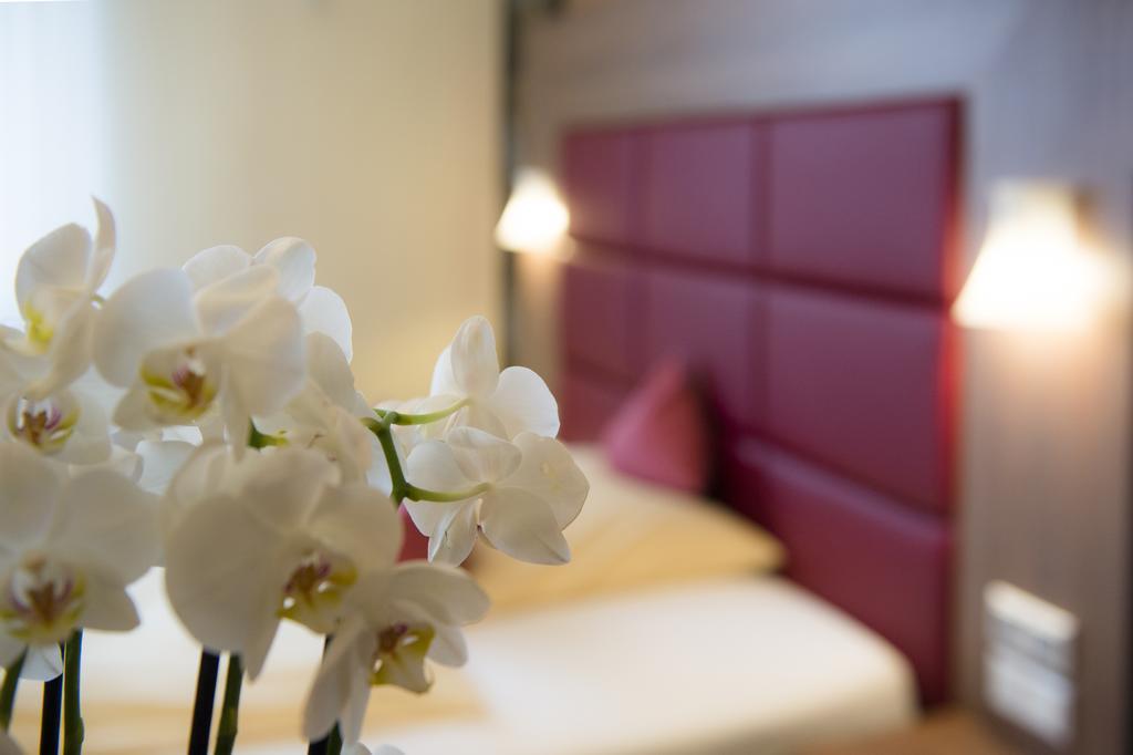 גלזנקירכן Ambient Hotel Zum Schwan מראה חיצוני תמונה